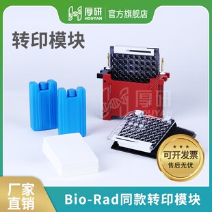 伯乐Bio-rad通用WB小型转印电泳槽湿转蛋白转膜槽Mini Trans-Blot