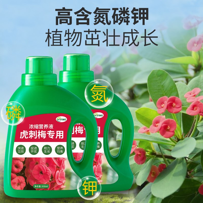 虎刺梅肥铁海棠营养液花麒麟肥料番仔刺番仔树复合花肥花卉肥