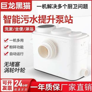 巨龙黑猫污水提升泵家用全自动电动马桶别墅地下室强力粉碎排污泵