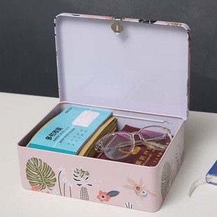 盒家用证件宿舍简约北欧可爱储物小箱子 铁盒收纳盒带锁文件盒密码
