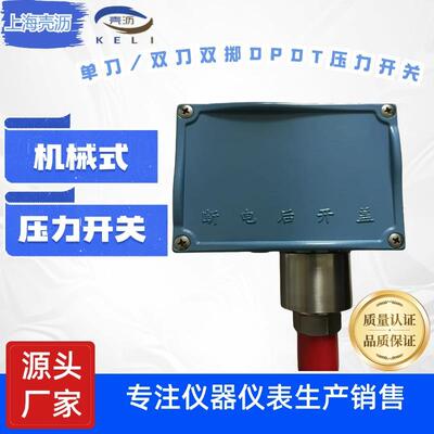 PTD系列单刀/双刀双掷SP/DPDT机械式工业压力开关控制器微压差压