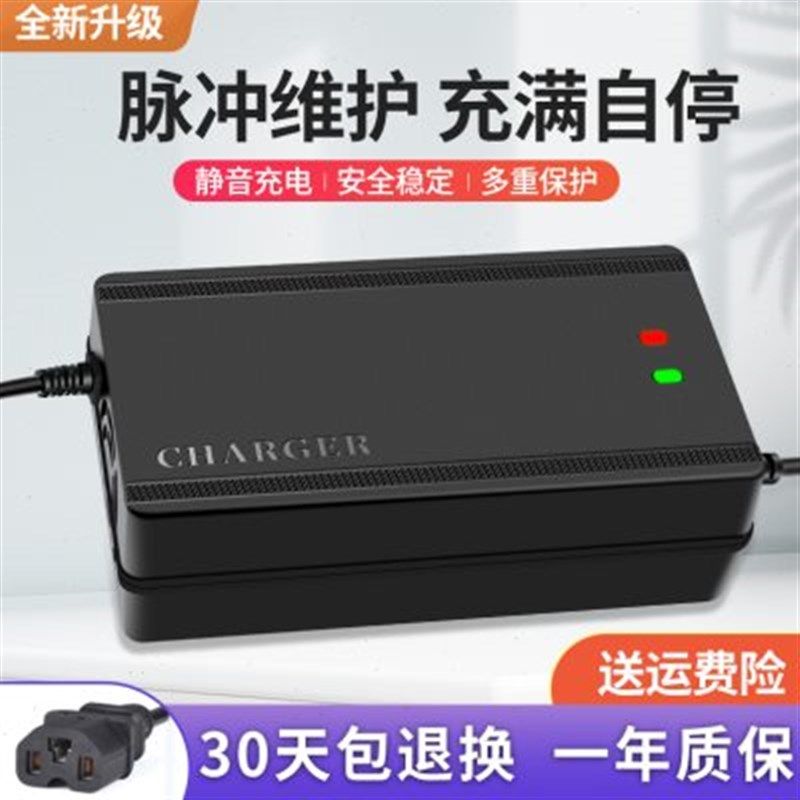 王派电动充电器电轮通用