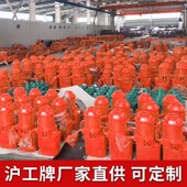 沪工环链电动葫芦吨吨吨吨重链条式 升降吊超低空电葫芦