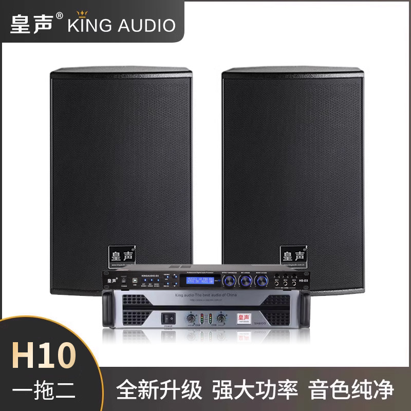 皇声 H10一拖二KTV音响套装 专业卡拉OK包房家庭专业音箱全套