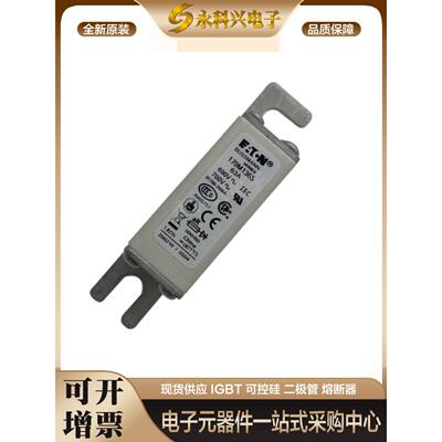 巴斯曼快速熔断器170M1365 1366 1367 1368 1369保险丝现货
