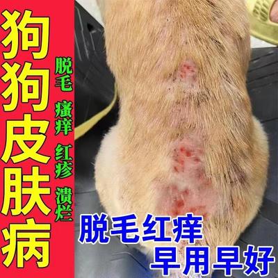 狗狗皮肤病外用药狗藓真菌感染专用药瘙痒脱毛皮炎狗癣脓皮症喷剂