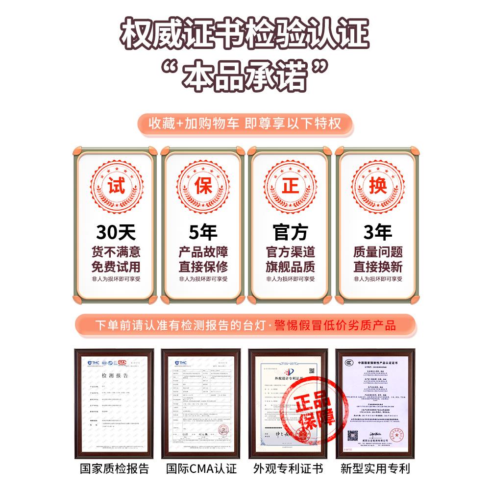 德国护眼台灯学习专用大学生宿舍充电AAA级儿童写作阅读灯防近视