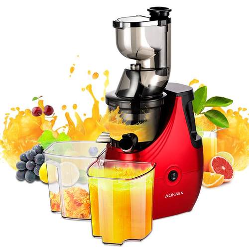 奥卡恩多功能榨汁机家用渣汁分离全自动原汁机柞汁机小型果汁机