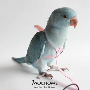 鹦鹉放飞绳背带式鹦鹉外出溜鸟训练绳超轻八哥飞行服飞行绳牵引绳