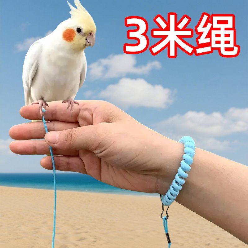 手养鹦鹉牵引绳放飞绳外出遛鸟神器虎皮牡丹玄凤不伤脚小鸟超轻专