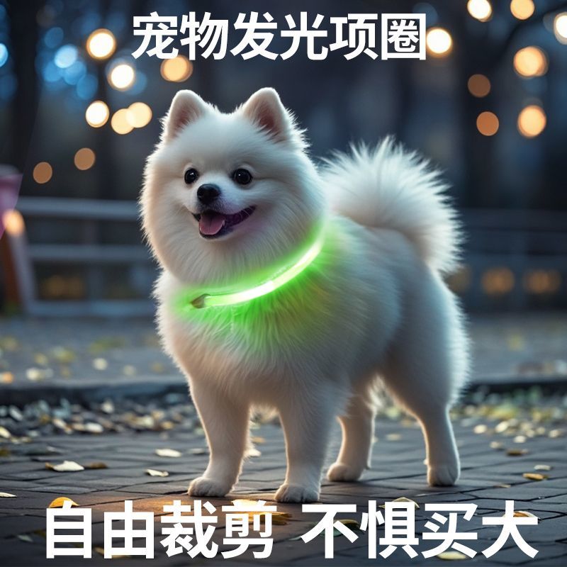 晚上遛狗发光器宠物灯夜间夜晚灯狗狗防走失灯投影吊坠LED项圈