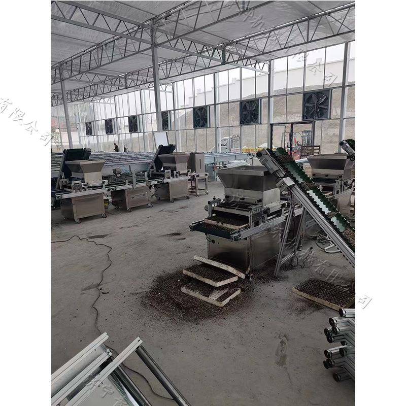 西南地区农业育苗播种机全自动覆土压穴播种流水线蔬菜种子点播机