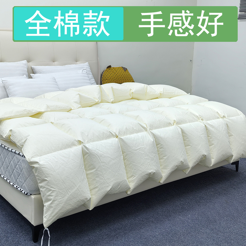 自充绒双层纯棉羽绒被空被壳