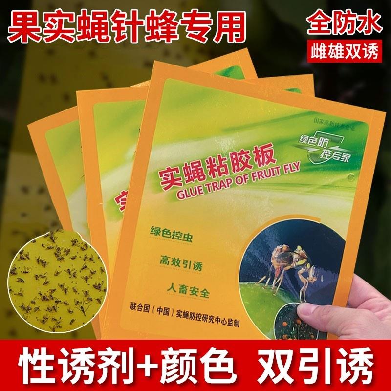 瓜果实蝇诱粘板果蝇桔小实蝇针蜂黏板粘胶板粘虫板诱捕贴果蝇贴