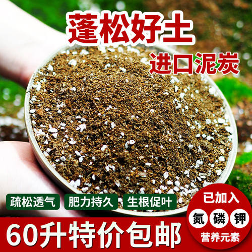 通用型营养土养花种菜专用疏松透气土壤多肉花卉盆栽泥炭育苗60升
