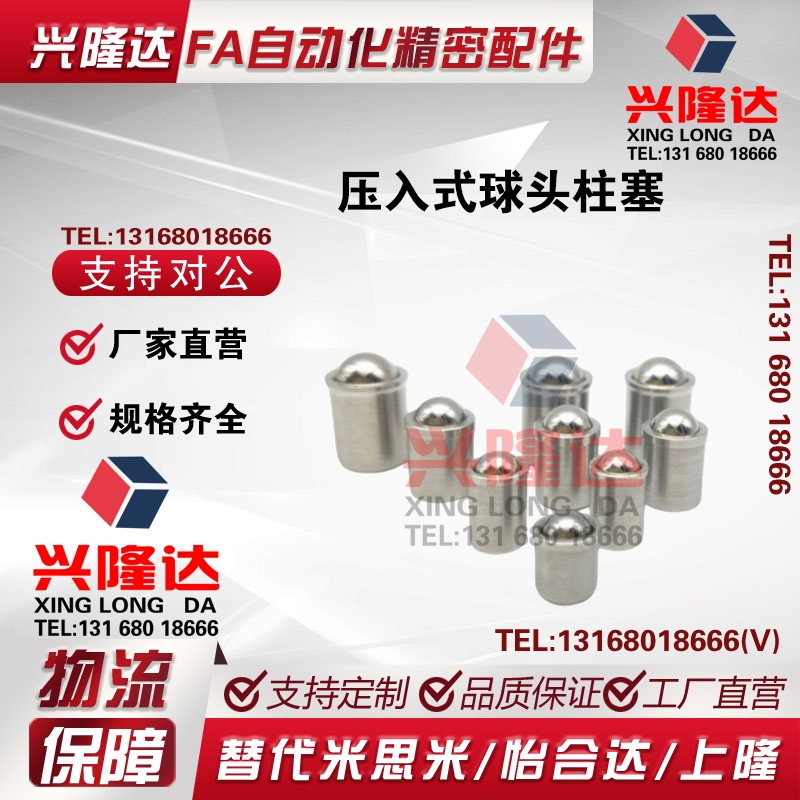 压入式球头柱塞 PFSSN2/3/4/5/6/8/10/12 精密定位珠