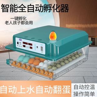 卢丁鸡蛋孵化器鹦鹉蛋受精可孵化器恒温小型鸡鸭鹅种鸡蛋可孵化器