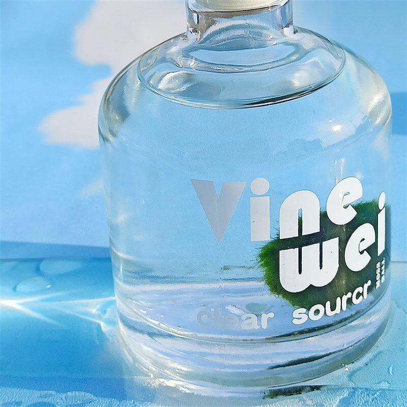 包邮moss绿藻球水藻球生态玻璃瓶微景观创意迷你水培植物水底盆栽