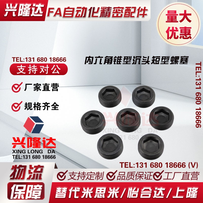 内六角锥型沉头短型螺塞 MSWS10/12/14/16/20/30/26/33-6-8