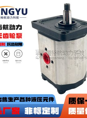 油泵SDH齿轮泵CBTs-F330F50Z1 CBD1 CBDa CBF泵CBT CBQ液压泵压力