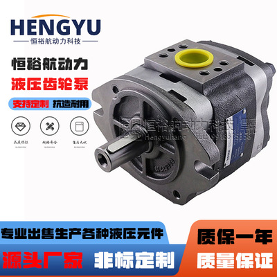 福伊特液压泵VOITH齿轮泵IPV4-13 IPV3 泵 IPV5-64 IPV6油泵高压