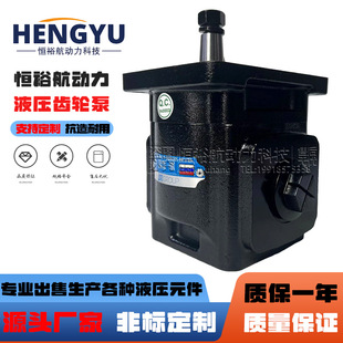 Hengyuhang铸铁液压泵布雷维尼油泵brevini齿轮泵OT20HP14D G28P2