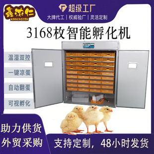 源头厂家跨境全自动智能大型孵化机incubator家用型鸡蛋孵化器
