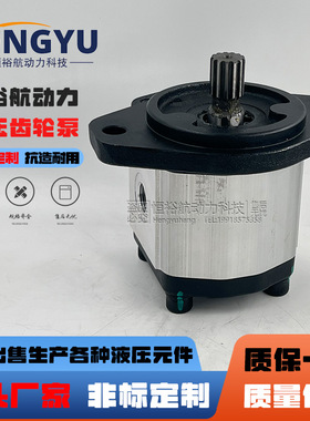 博顿高压油泵Boden齿轮泵BHP2.5A1D30S0R1 BHP2.5A0S23S3L0液压泵