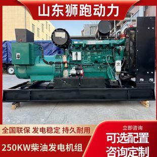 潍柴纯铜无刷250Kw发电机游乐场应急供电设备开架式 柴油发电机组