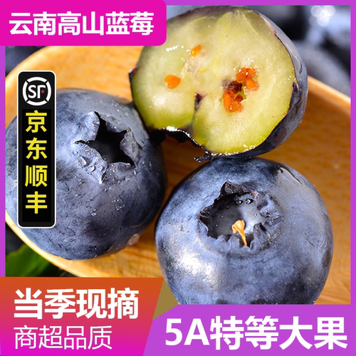 高山花香特大蓝莓顺丰京东包邮