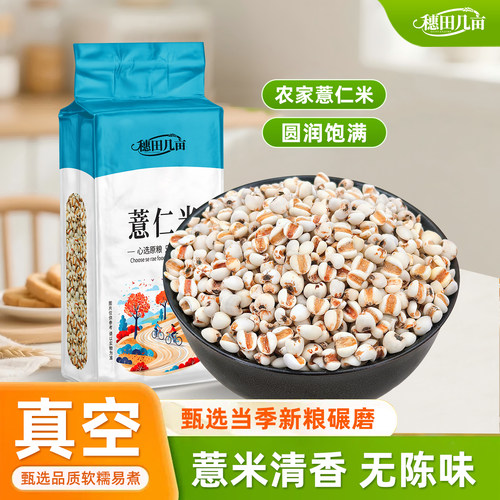 [真空装]新鲜贵州大薏米新货薏米仁薏仁米苡仁五谷杂粮搭配赤小豆