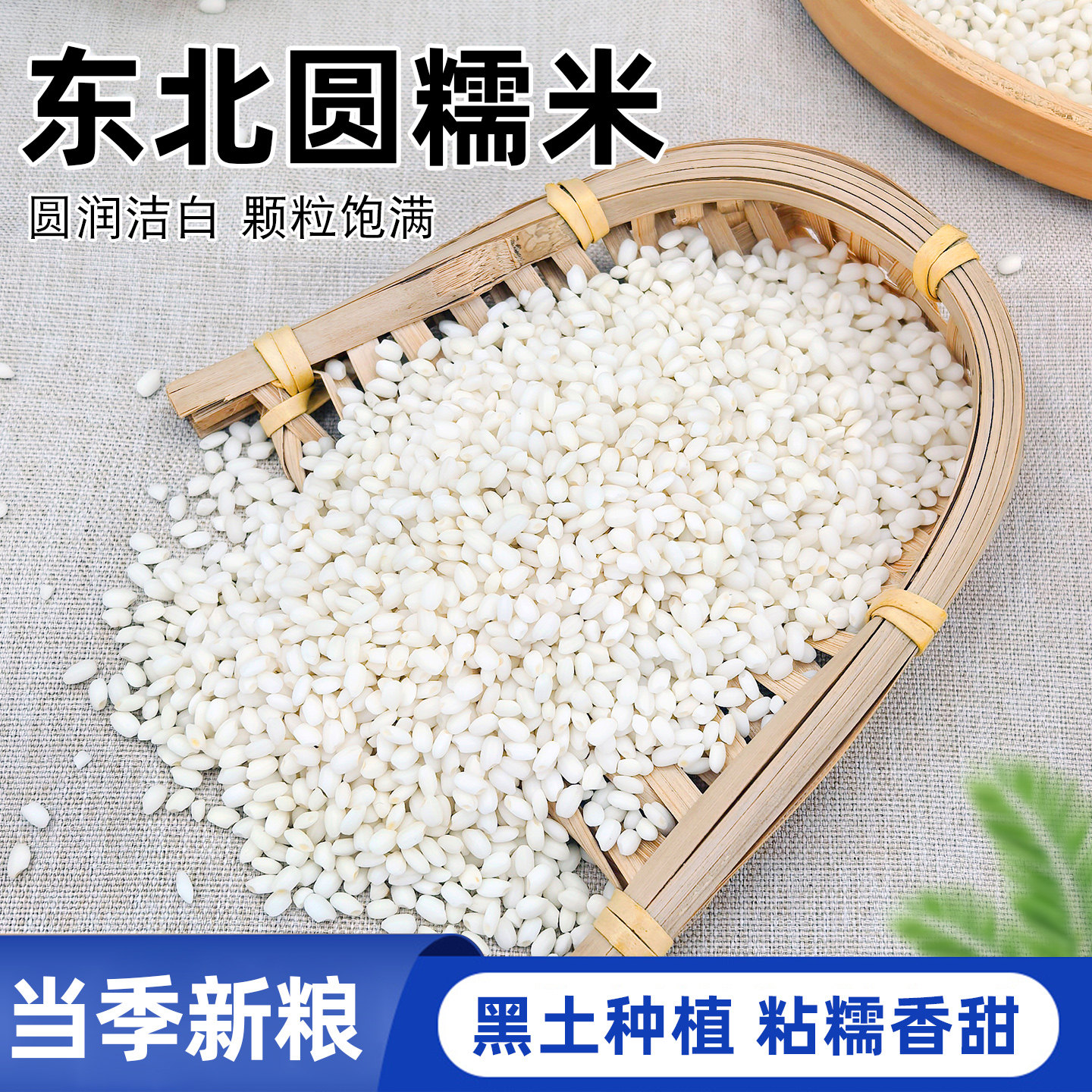 穗田几亩东北圆糯米白5斤包粽子五谷杂粮圆江米圆粒饭团新鲜当季