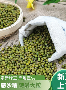 东北绿豆新鲜农家绿豆可发芽粮油颗粒饱满肉多皮薄杂粮500g
