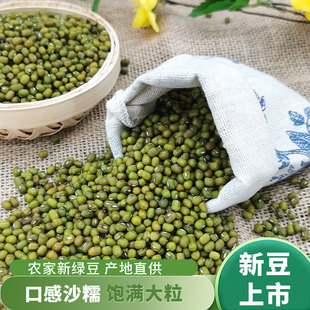 东北绿豆新鲜农家绿豆可发芽粮油颗粒饱满肉多皮薄杂粮500g