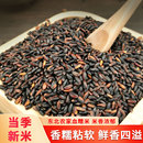 东北正宗血糯米黑糯米紫糯米粘黏新米饭团奶茶店专用五谷杂粮组合