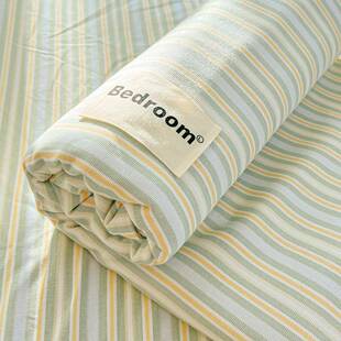 床单秋冬a类仅床单单件200x230cm水洗棉学生宿舍加厚被单防滑