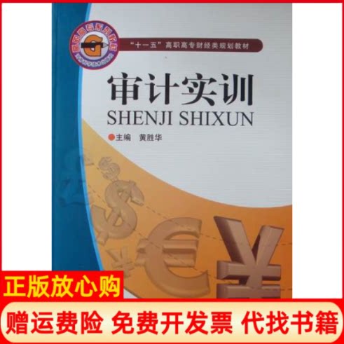 正版书】审计实训黄胜华河南科学技术出版社9787534940132