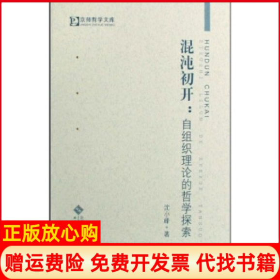 【正版书】混沌初开自组织理论的哲学探索沈小峰著北京师范大学出版社9787303024193