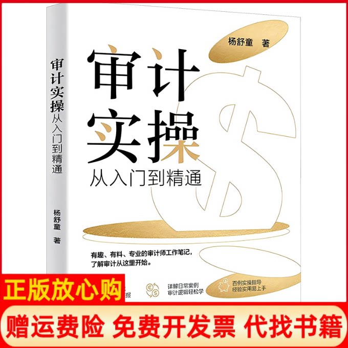 正版书】审计实操从入门到精通杨舒童北京大学出版社9787301355770