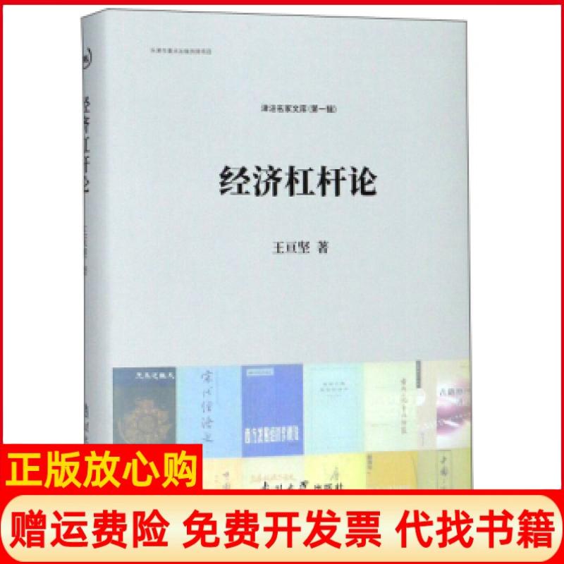 【正版书】经济杠杆论王亘坚著南开大学出版社9787310058273