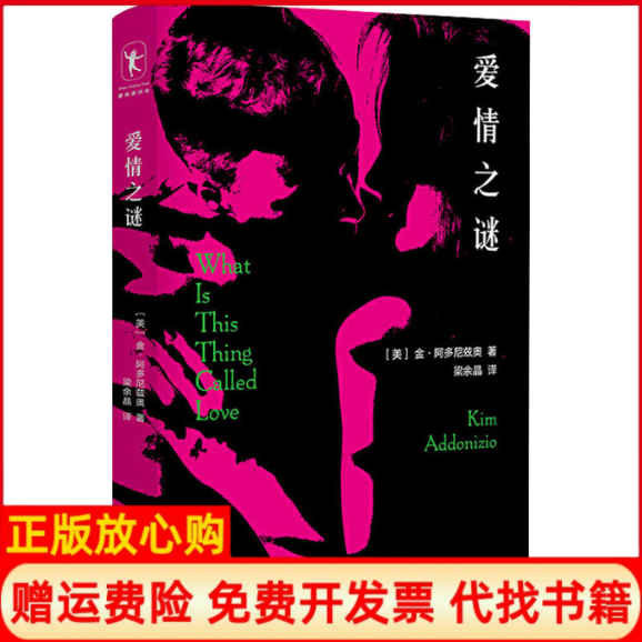【正版书】爱情之谜美金阿多尼兹奥著梁余晶译四川文艺出版社9787541155185