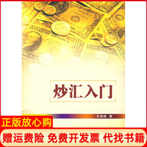 【正版书】炒汇入门王祖建经济管理出版社9787802078673