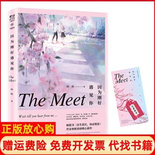 【正版书】因为刚好遇见你林熙天津人民出版社有限公司9787201151403