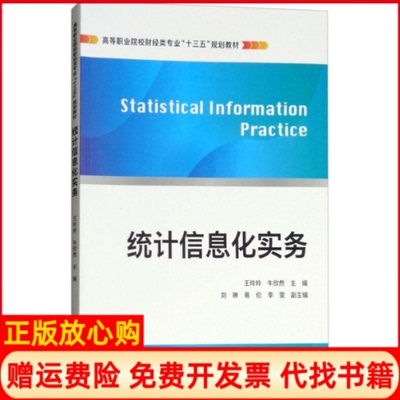 【正版书】统计信息化实务王玲玲 牛欣然 刘琳 易伦 李雯 上海财经大学出版社9787564230777
