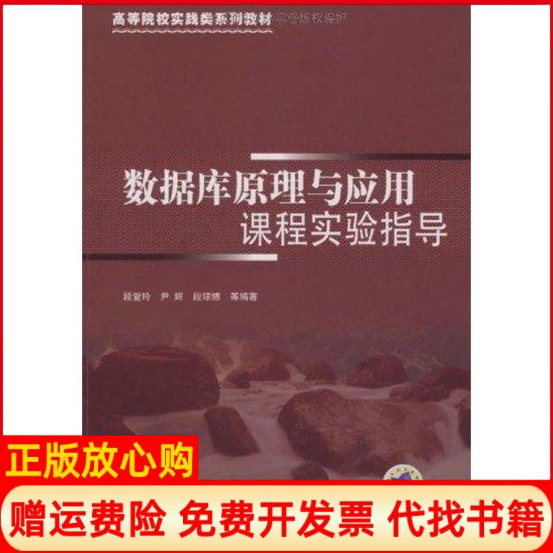 【正版书】高等院校实践类系列教材数据库原理与应用课程实验指导段爱玲著机械工业出版社9787111261513