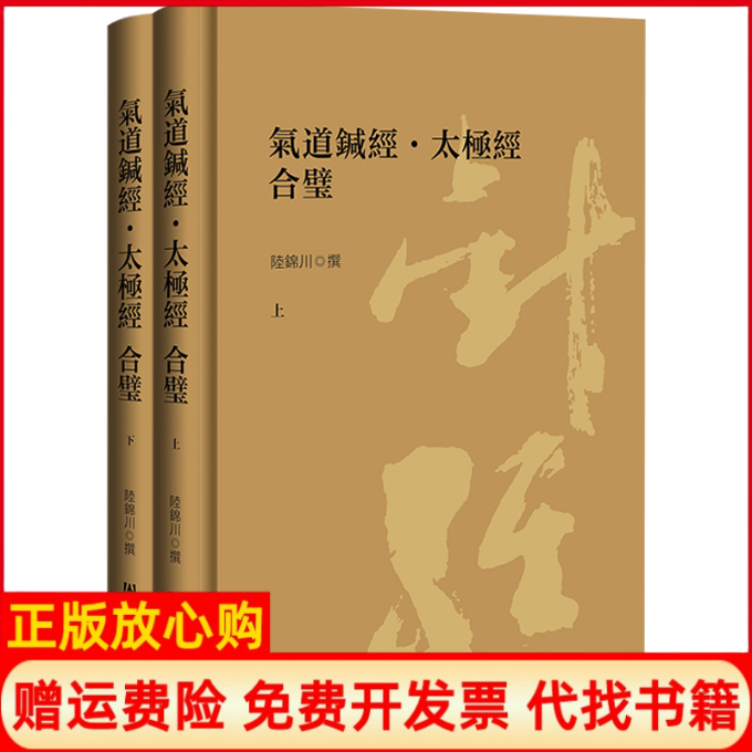 正版书气道针经·太极经 合璧（套装全2册）陆锦川社会科学文献出版社