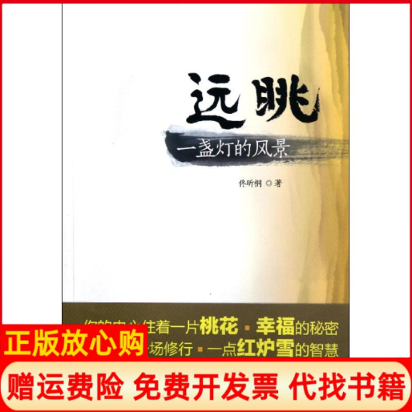 【正版书】远眺一盏灯的风景佟昕桐著新华出版社9787501198719