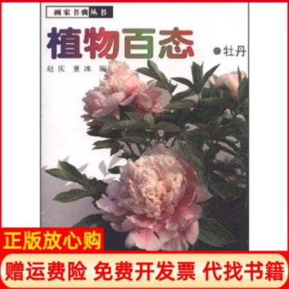 正版书】植物百态牡丹董冰江西美术出版社9787807496359