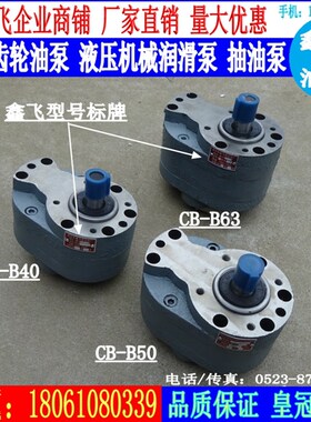 CB-B40/B50/B63/B80/B100/B125液压泵XCB XTCB TXCB齿轮油泵F