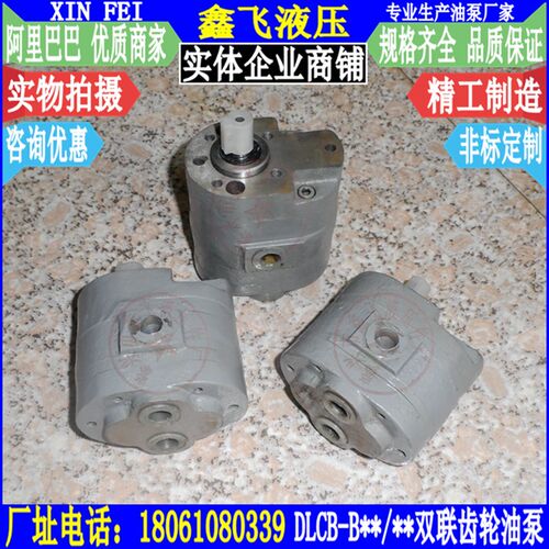 DLCB-B2.5/2.5双联泵CB低压双联齿轮油泵 两进两出供油润滑泵